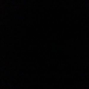 Meet your Posher, Jayla